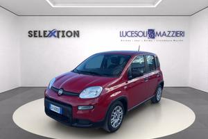 FIAT Panda My24 1.0 70cv Hybrid Panda