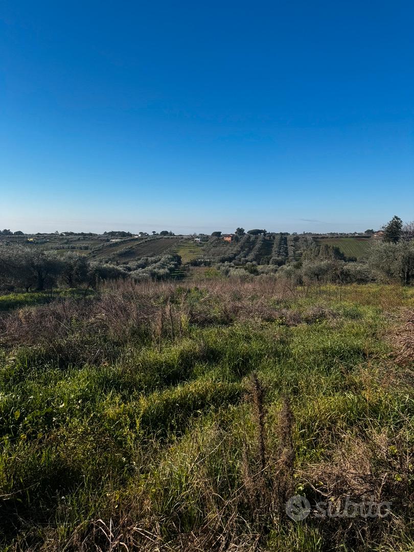 Terreno agricolo 15000 mt - Ansicht 4