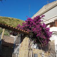 Casa vacanze annuale vicino al mare Acciaroli (SA)