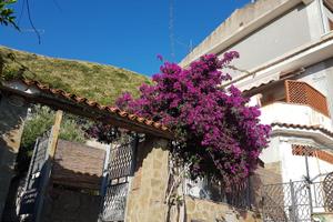 Casa vacanze annuale vicino al mare Acciaroli (SA)