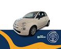 fiat-500-1-0-hybrid-cult