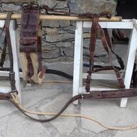 Finimenti da pariglia ex esercito svizzero