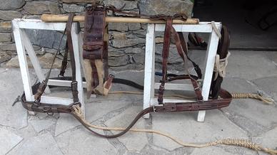 Finimenti da pariglia ex esercito svizzero