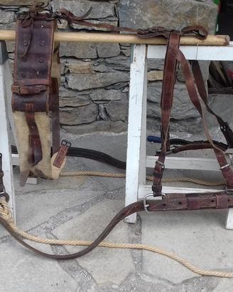 Finimenti da pariglia ex esercito svizzero