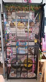 Gabbia + ruote per petauri dello zucchero