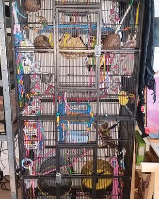 Gabbia + ruote per petauri dello zucchero