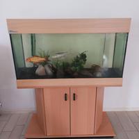 ACQUARIO 180 LT