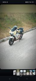 Aprilia rs