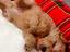 Immagine 29