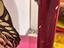 Immagine 6