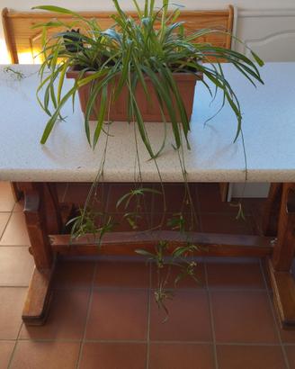 tavolo  rettangolare legno