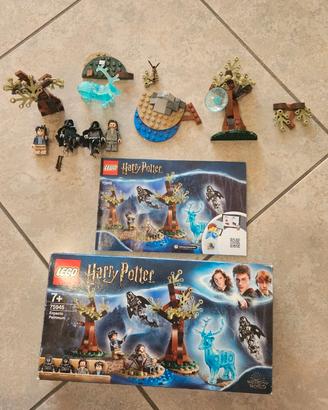 Lego 75945 Harry Potter Expecto Patronum USATO