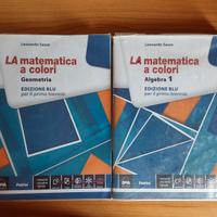 LA matematica a colori algebra+geometria