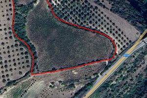 Terreno agricolo In comune di Uri