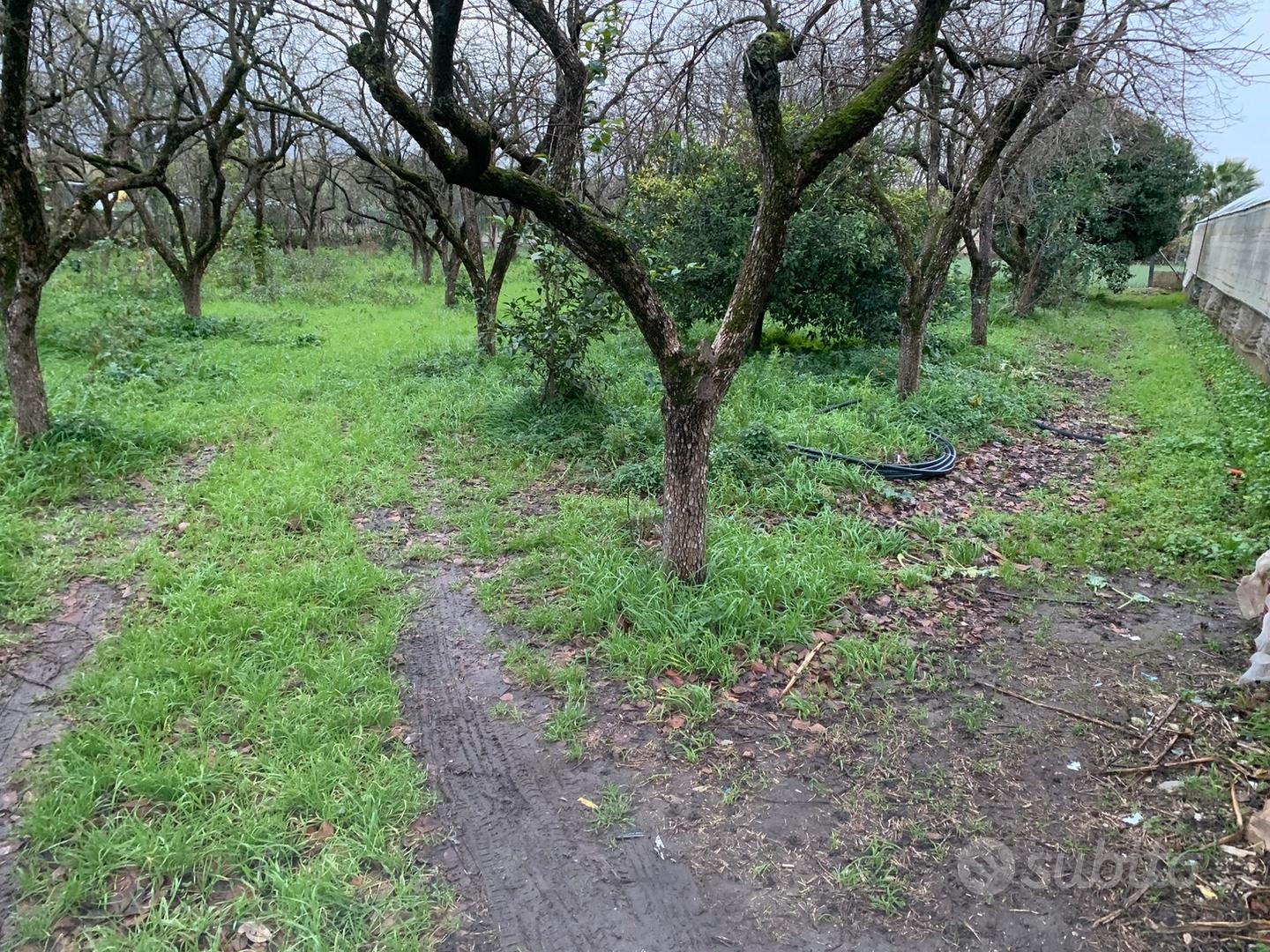 Terreno 1600 metri quadri con casa rurale - Vista 3