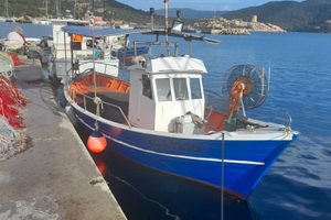 Barca da pesca con licenza