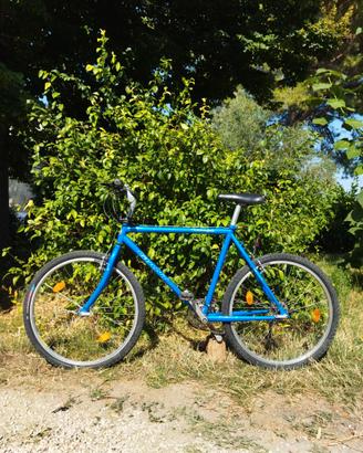 Giant Terrago