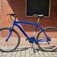 Bici Frejus – Look sportivo, uso versatile!