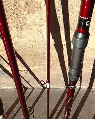 Coppia canne surf casting