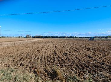 Terreno agricolo di grandi dimensioni