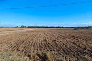 Terreno agricolo di grandi dimensioni