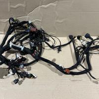 Impianto Elettrico Mv Agusta Brutale Dragster 800 