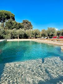 TuscanyCottage Al mare tra gli ulivi Toscany