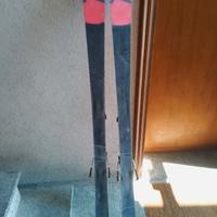 sci Rossignol 