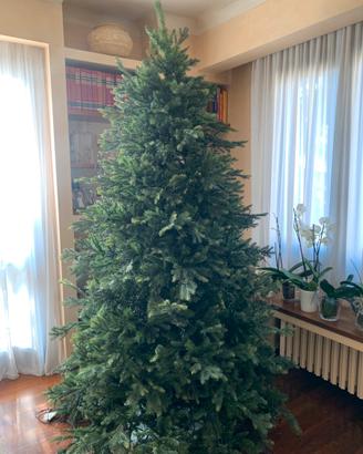 Albero di Natale