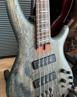 Ibanez Srff800 - basso multiscala - upgrade pickup