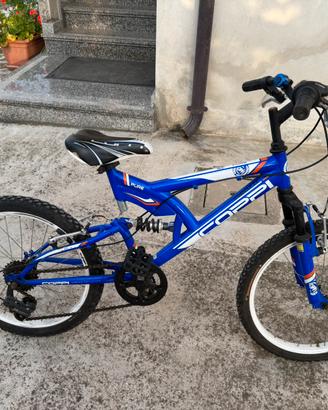 Mountain bike