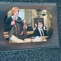 Limited Harry potter famiglie  babbane panini