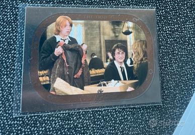 Limited Harry potter famiglie  babbane panini