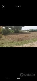 terreno edificabile 
