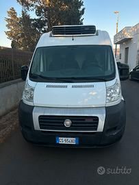 Fiat Ducato Maxi refrigerato -20