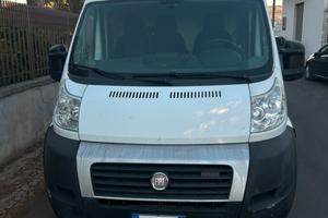 Fiat Ducato Maxi refrigerato -20
