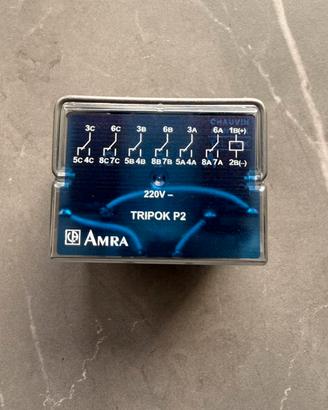 Amra Chauvin Arnoux della serie TRIPOK