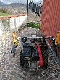 tranciasarmenti bertolini 