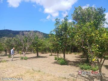 Terreno a Condrò
