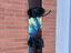 Immagine 1