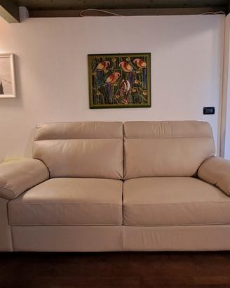 Divano in pelle Poltrone sofà 