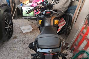 Vige brivido 125