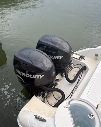 Coppia di mercury verado 150 hp