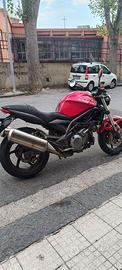 Raptor 1000