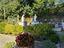 Immagine 25