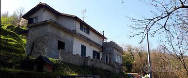 Casa nel bosco