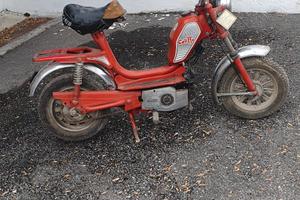 Mini Califfo Rizzato 50