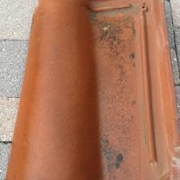 tegola portoghese SINISTRA