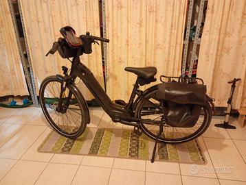 Bici assistita ancora in garanzia