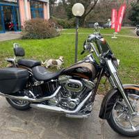 Harley-davidson CVO Softail Convertible